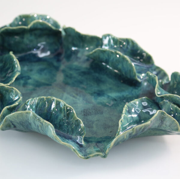Cotyledon - Image 2