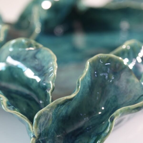 Cotyledon - Image 3