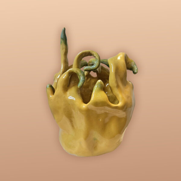 Soumi’s Hand