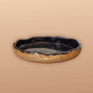 The Earthenware Plate