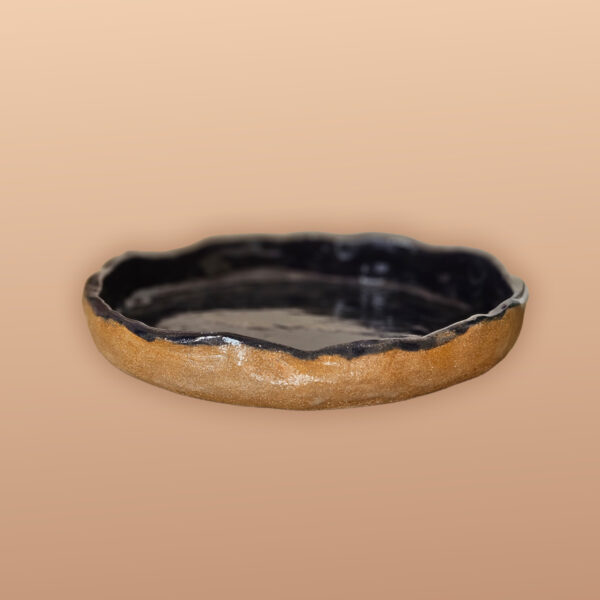 The Earthenware Plate