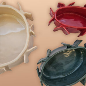 Butterfly Collection Set